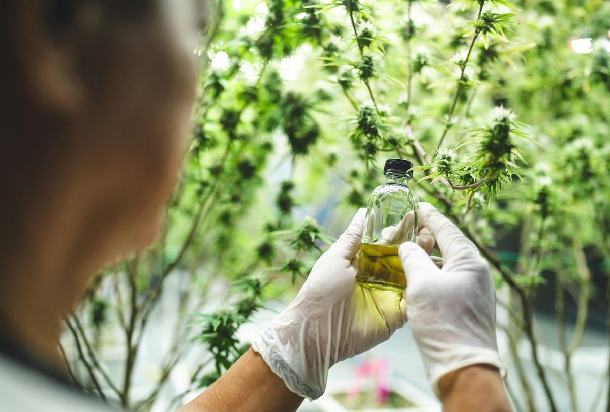 Sen. Padilla Pushes, But DEA Nominee Terry Cole Won’t Commit to Cannabis Rescheduling