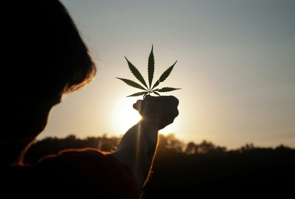 On Top of New Tariffs and Proposed Vape Ban, Calif. Cannabis Retailers Also Face an Excise Tax Hike