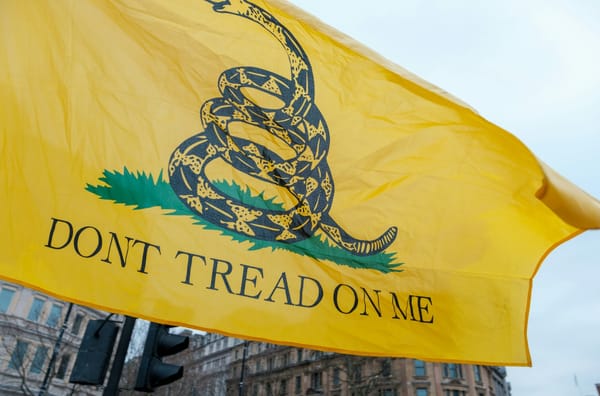 Libertarian Party Chair Warns Party in Danger of 'Full Collapse'
