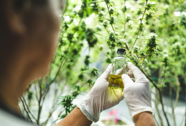 Sen. Padilla Pushes, But DEA Nominee Terry Cole Won’t Commit to Cannabis Rescheduling